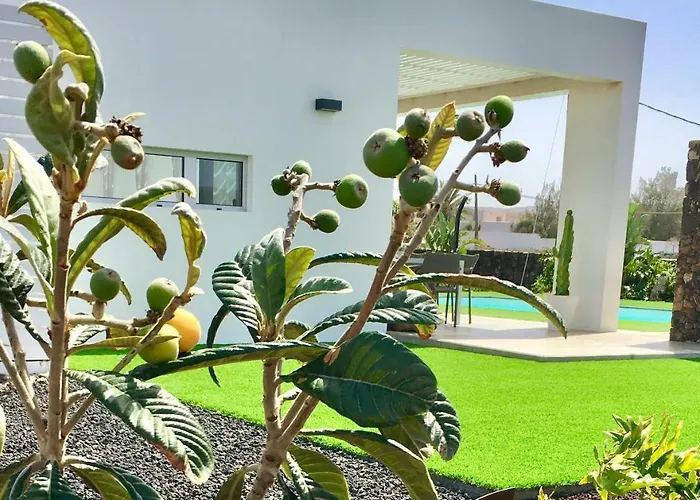 Turquesa 1 Fuerteventura بيت للعطل لاجاريس